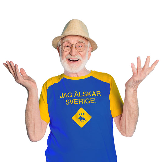 Die Ärzte (Jag Älskar Sverige) Raglan